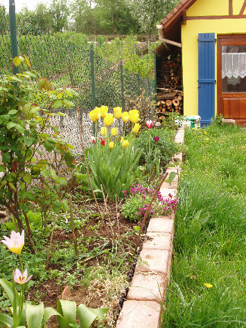 Couleurs de printemps et stock de bois de chauffage - 28 avril 2004